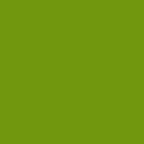 M919 - Madeira PolyNeon 40 Thread 1000m