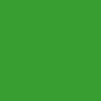 M919 - Madeira PolyNeon 40 Thread 1000m