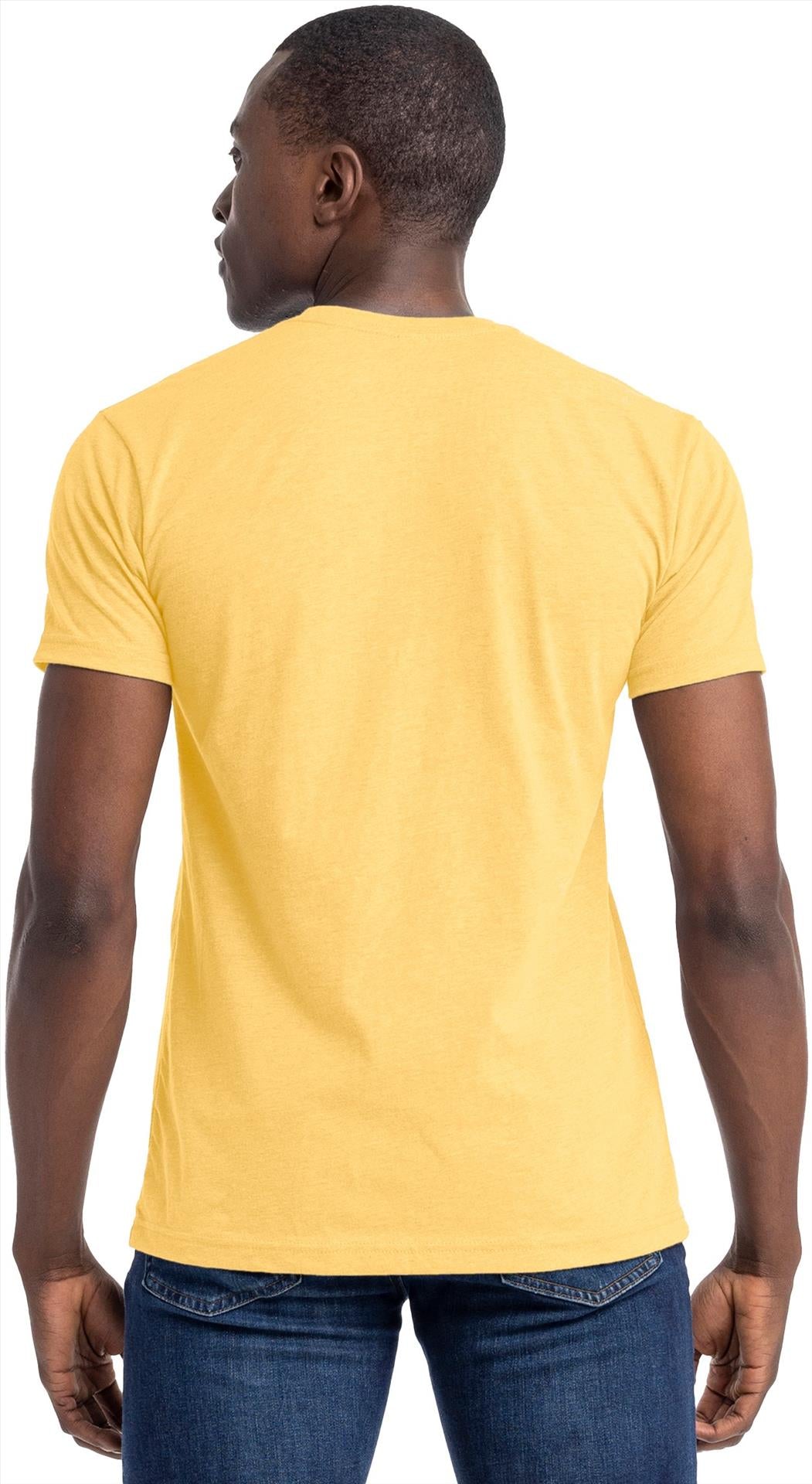 N6210 - NLA CVC Combed 145 Regular Fit Tee Adult