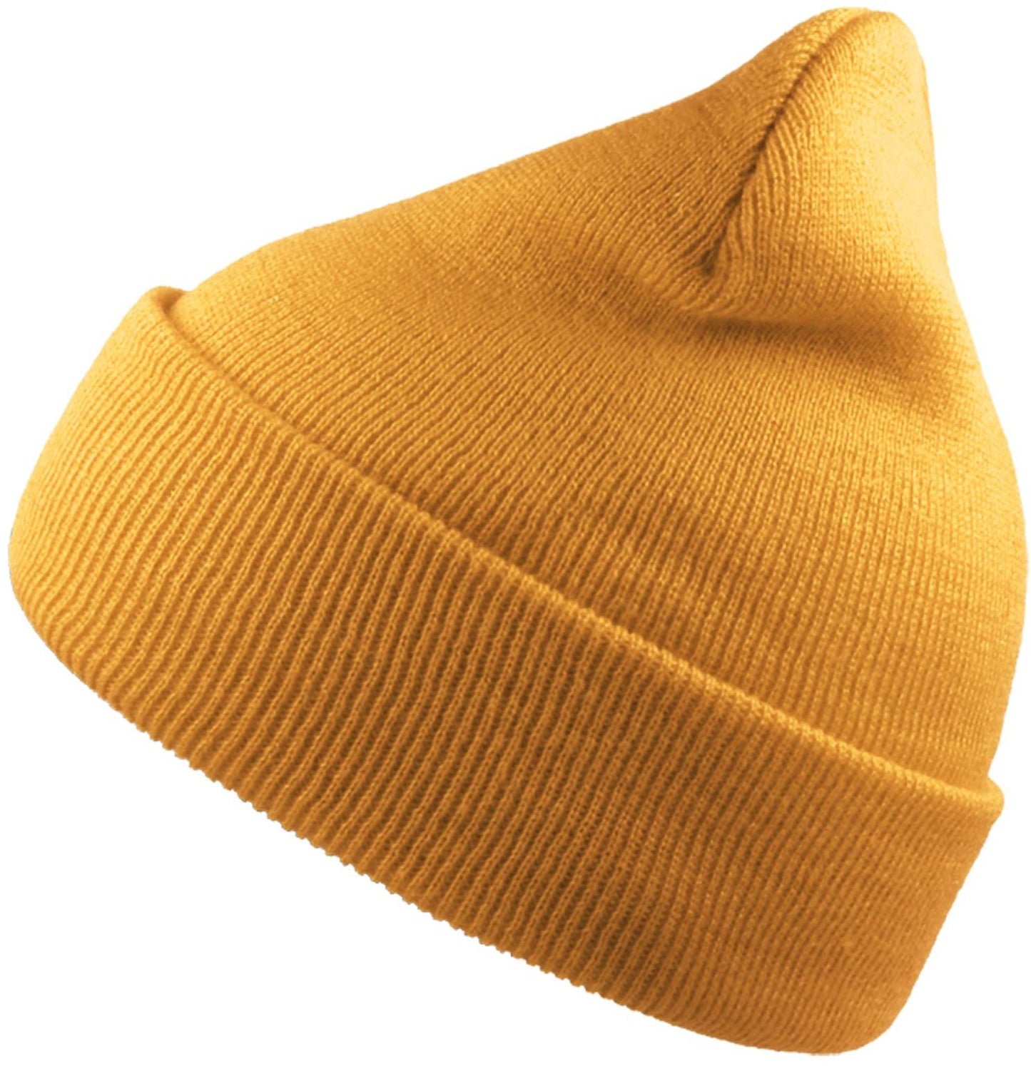 ACWINS - Atlantis Wind S Recycled Beanie Double Skin Cuffed