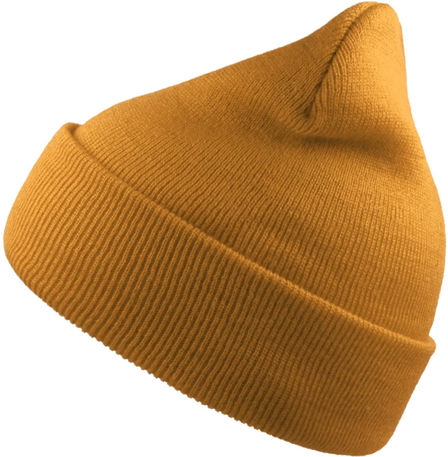 ACWINS - Atlantis Wind S Recycled Beanie Double Skin Cuffed