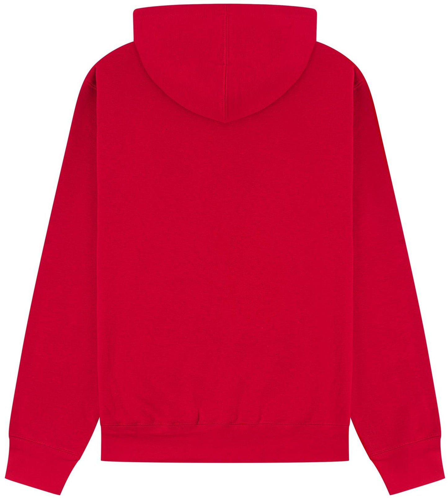 C202 - Casual# Ringspun 300 Regular Hood