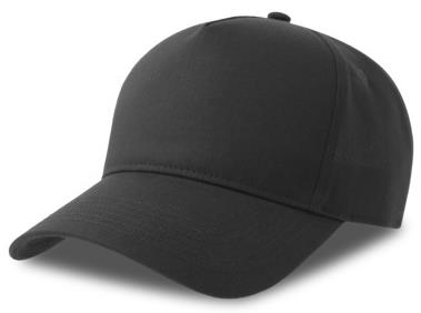 ACEGON - Atlantis Egon 5 Panel Structured High Profile Curved Visor Organic Cap
